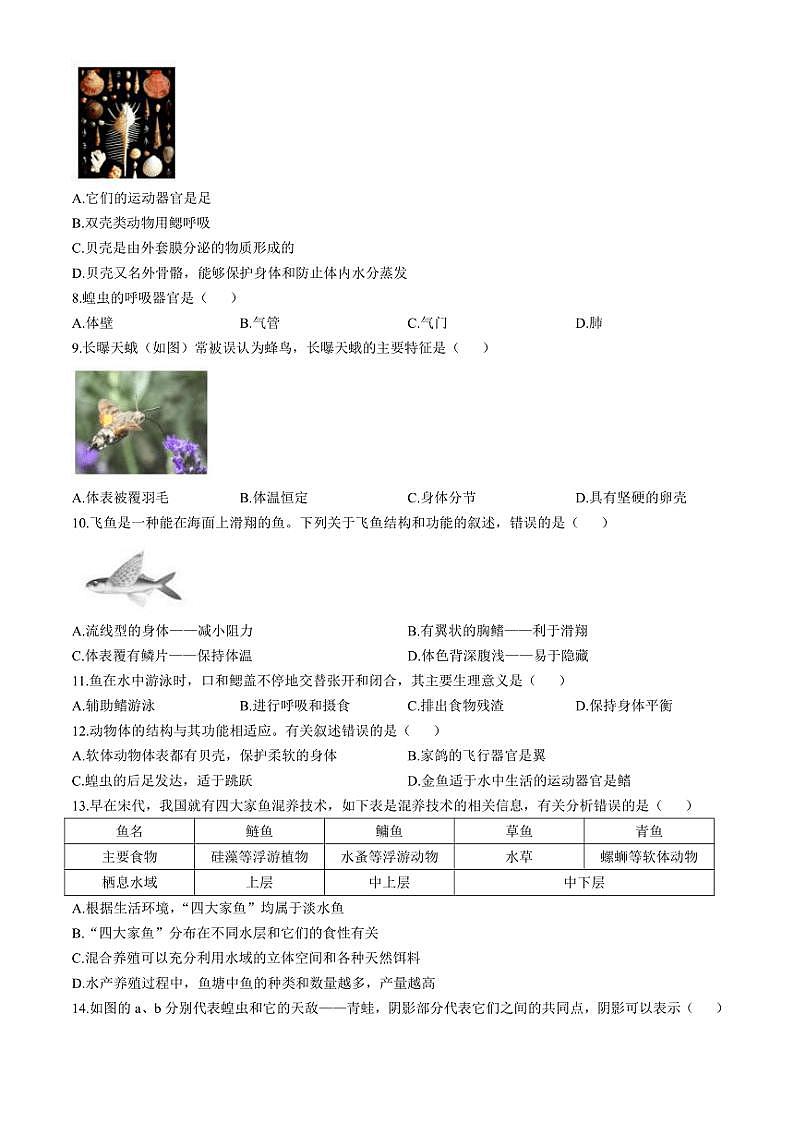 广东省深圳高级中学北校区等多校2024～2025学年八年级(上)期中生物试题(含答案)第2页