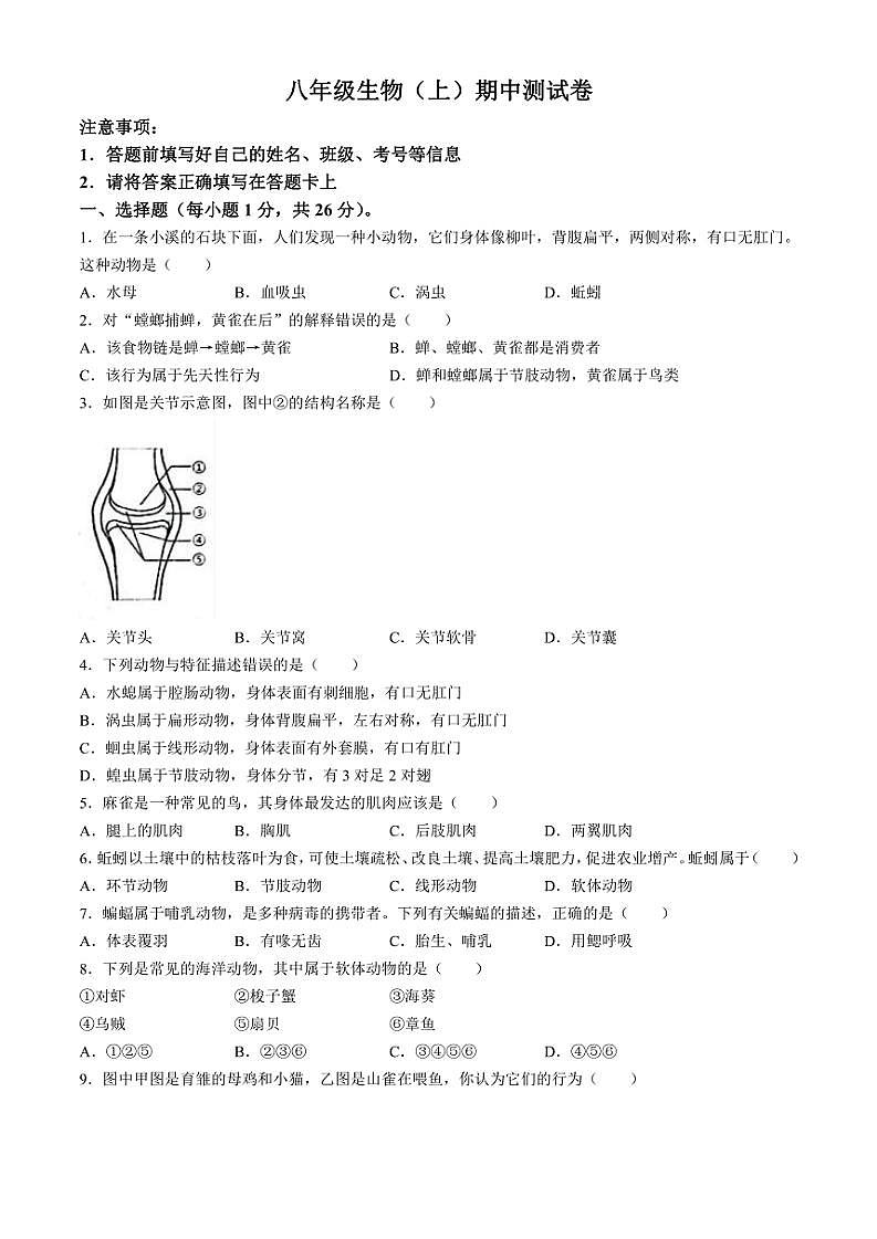 江西省抚州市东乡区2024～2025学年八年级(上)期中生物试题(含答案)第1页
