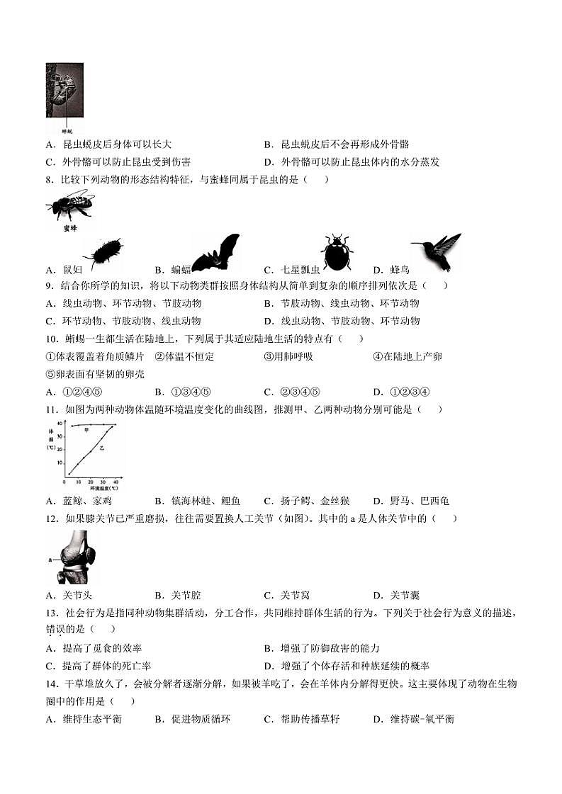 山西省太原市2024～2025学年八年级(上)期中生物试题(含答案)第2页