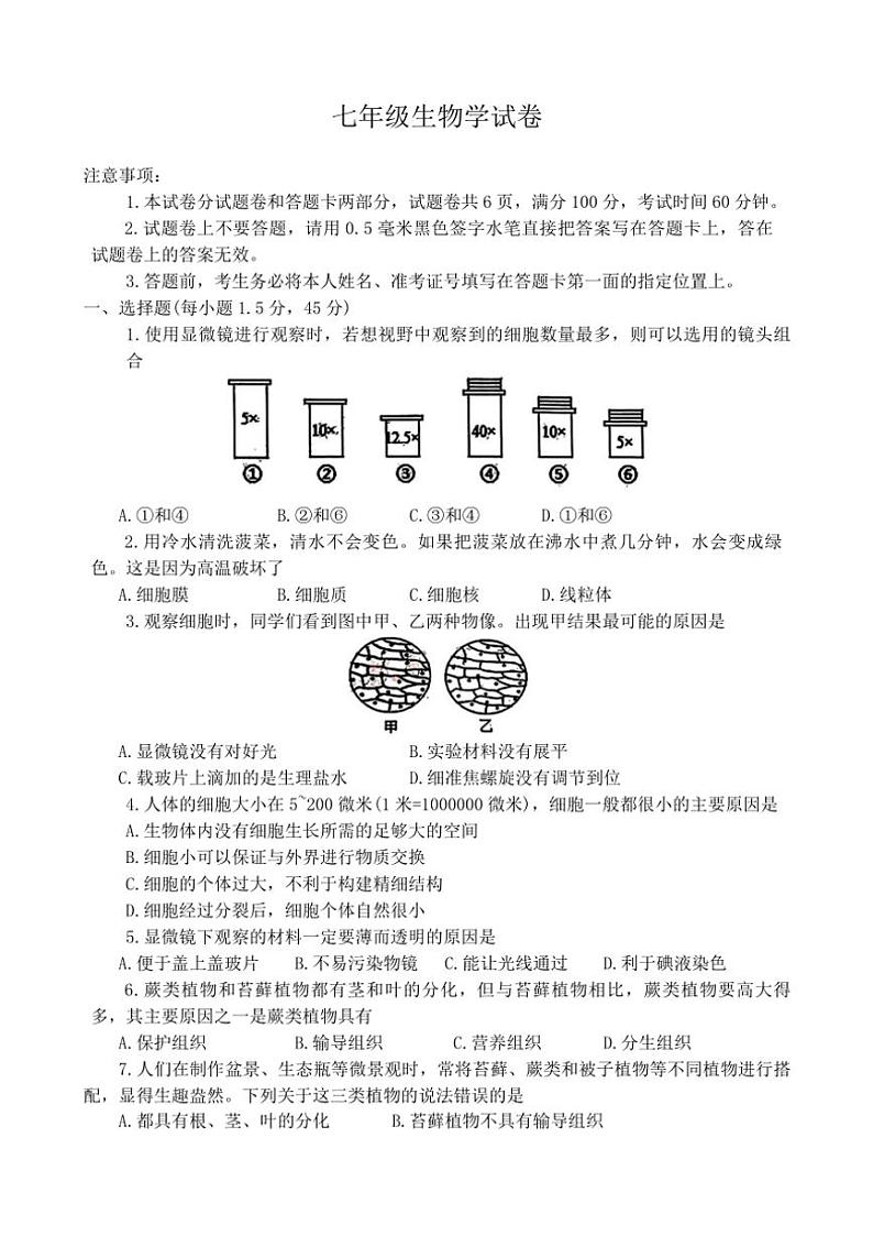 河南省洛阳市西工区2024～2025学年七年级(上)期中生物试卷(含答案)01