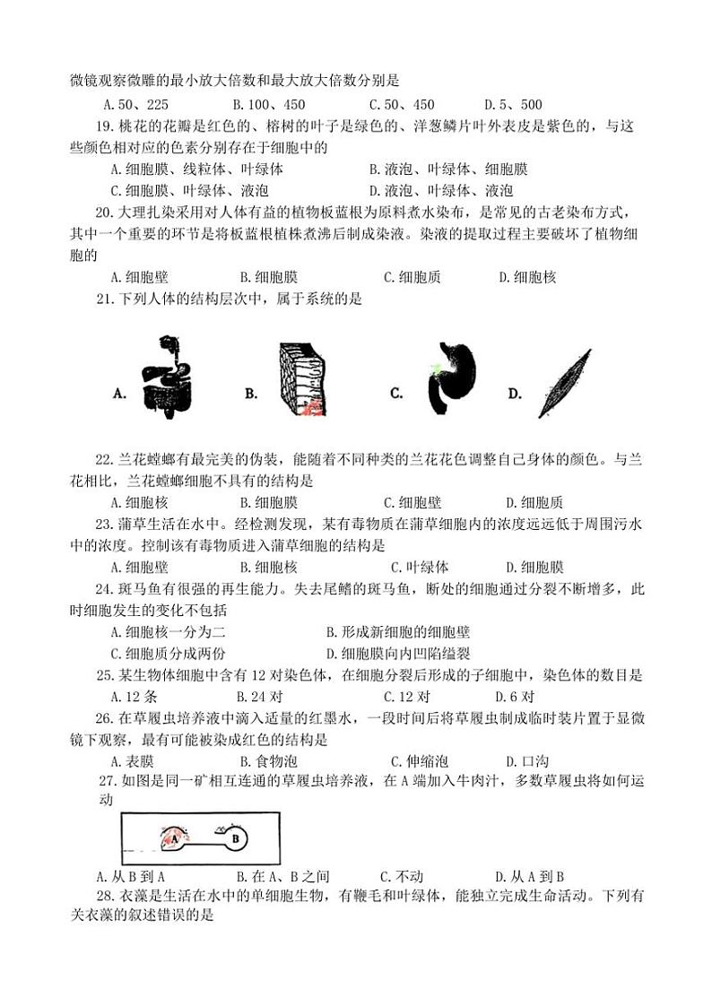 河南省洛阳市西工区2024～2025学年七年级(上)期中生物试卷(含答案)03