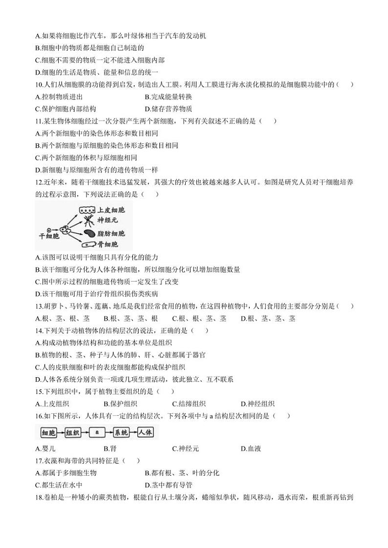 河南省漯河市召陵区2024～2025学年七年级(上)期中生物试题(含答案)第2页