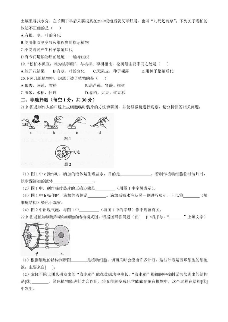 河南省漯河市召陵区2024～2025学年七年级(上)期中生物试题(含答案)第3页