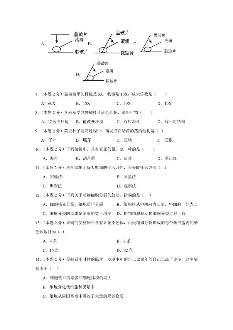 四川省泸州高级中学校2024～2025学年七年级(上)期中生物试题(含答案)02