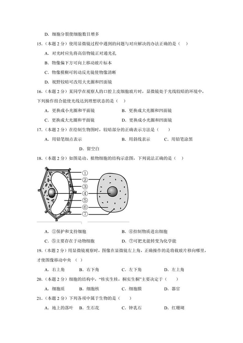 四川省泸州高级中学校2024～2025学年七年级(上)期中生物试题(含答案)03