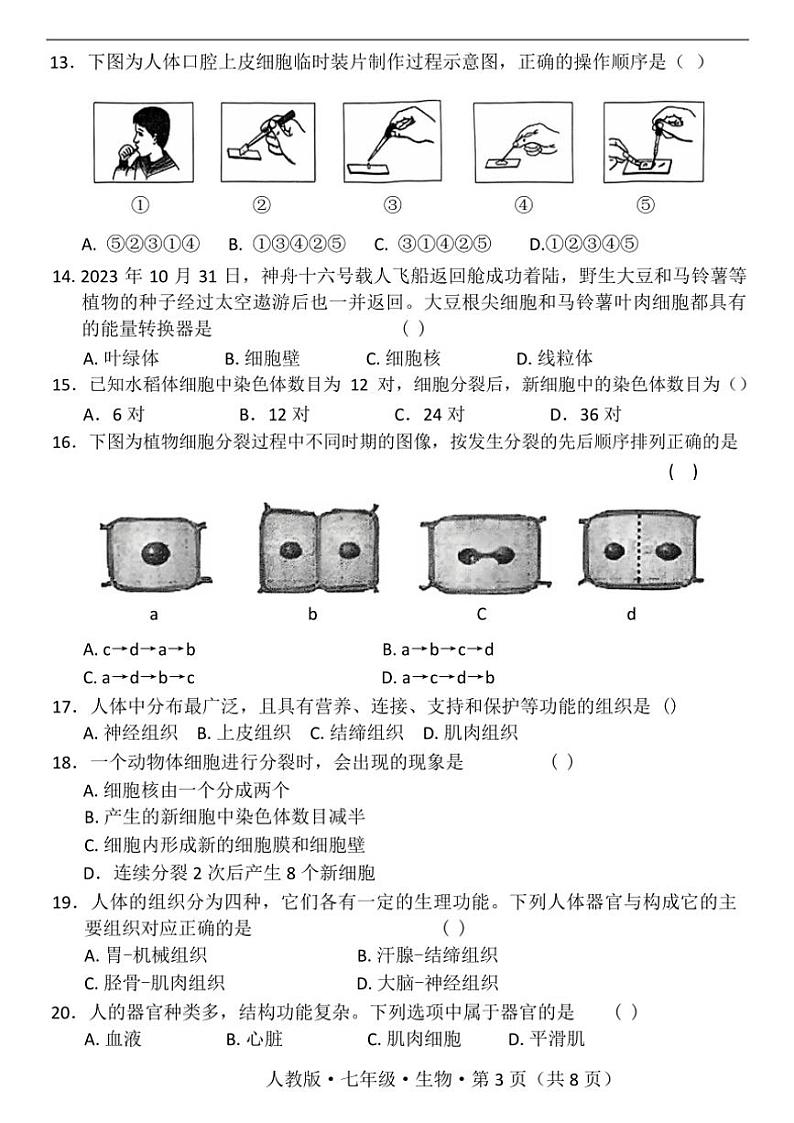云南省昆明市寻甸回族彝族自治县第一中学2024～2025学年七年级(上)期中生物试题(含答案)03