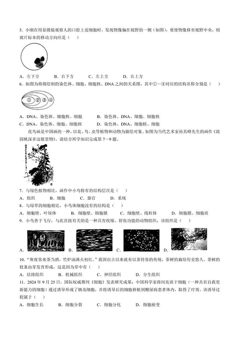 山西省大同市平城区两校联考2024～2025学年七年级(上)期中生物试题(含答案)第2页
