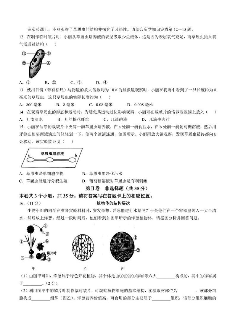 山西省大同市平城区两校联考2024～2025学年七年级(上)期中生物试题(含答案)第3页