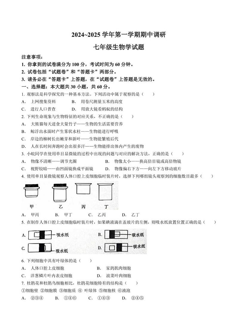 安徽省蚌埠市蚌山区2024～2025学年七年级(上)期中生物试题(含答案)第1页