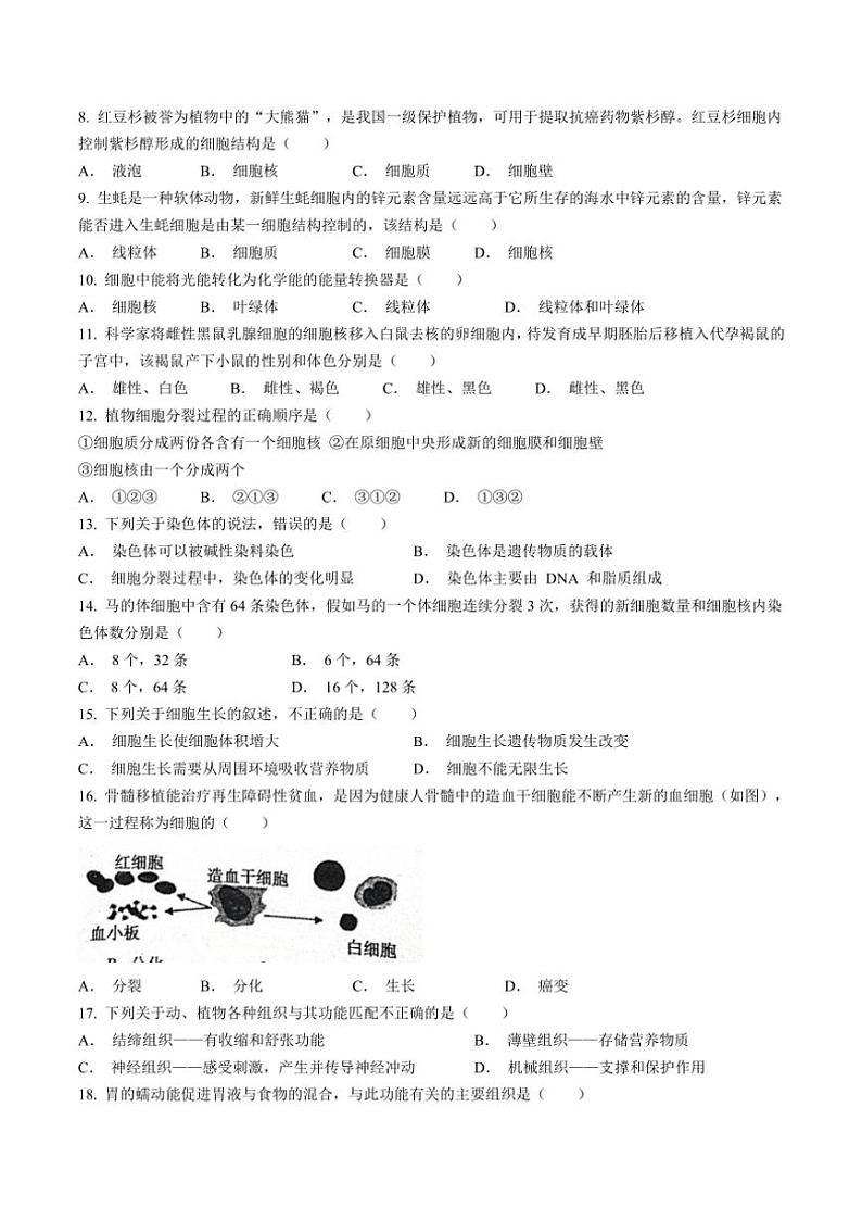 安徽省蚌埠市蚌山区2024～2025学年七年级(上)期中生物试题(含答案)第2页