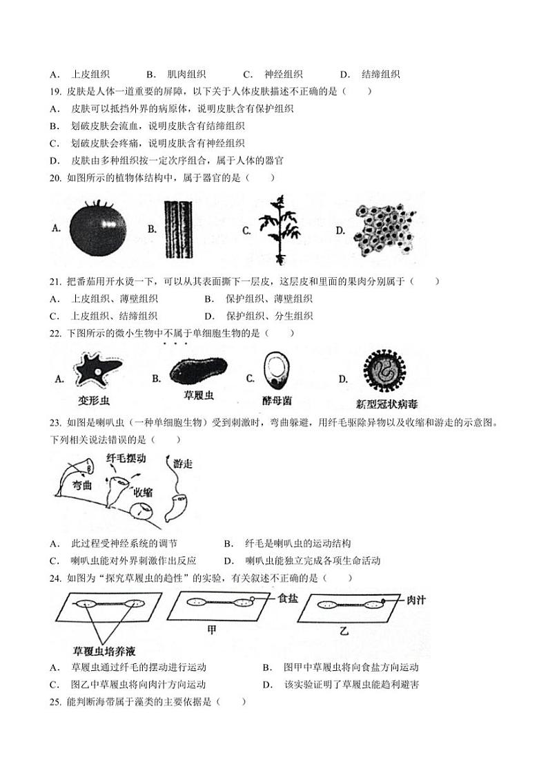 安徽省蚌埠市蚌山区2024～2025学年七年级(上)期中生物试题(含答案)第3页