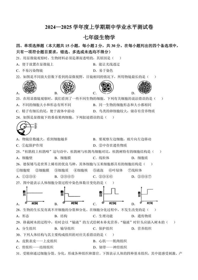 广西百色市田阳区2024～2025学年七年级(上)期中生物试题(含答案)第1页