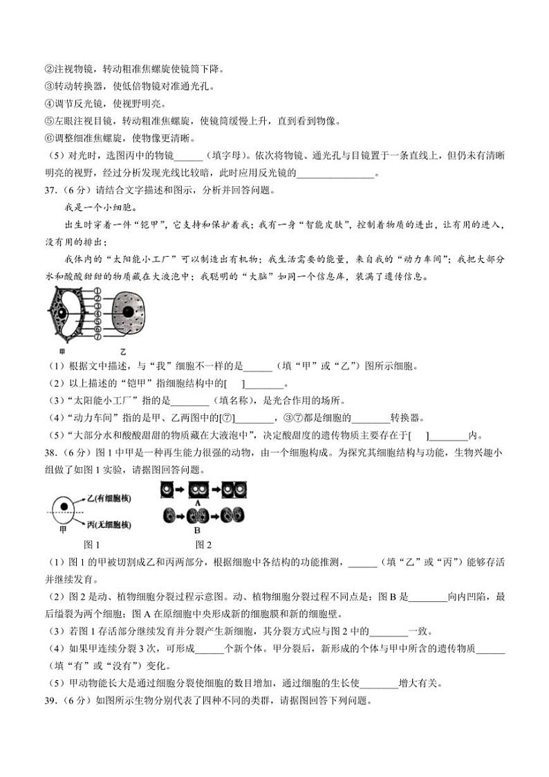 广西百色市田阳区2024～2025学年七年级(上)期中生物试题(含答案)第3页