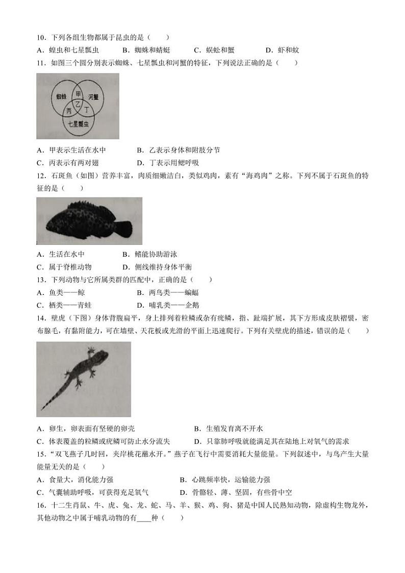 云南省大理州下关第一中学初中部教育集团2024～2025学年八年级(上)期中生物试题(含解析)第2页