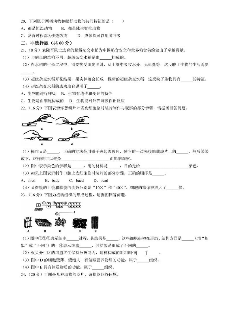 吉林省白山市2024_2025学年七年级(上)期中生物试题(含答案)第3页