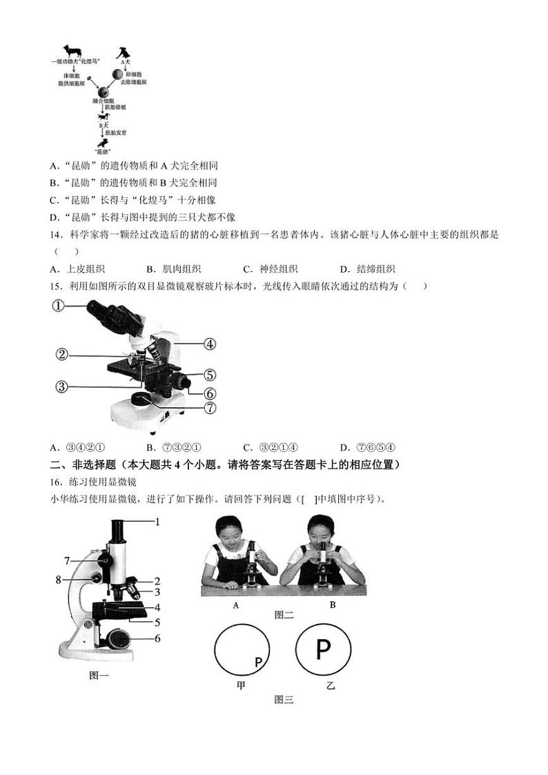 山西省太原市2024～2025学年七年级(上)期中生物试题(含答案)第3页