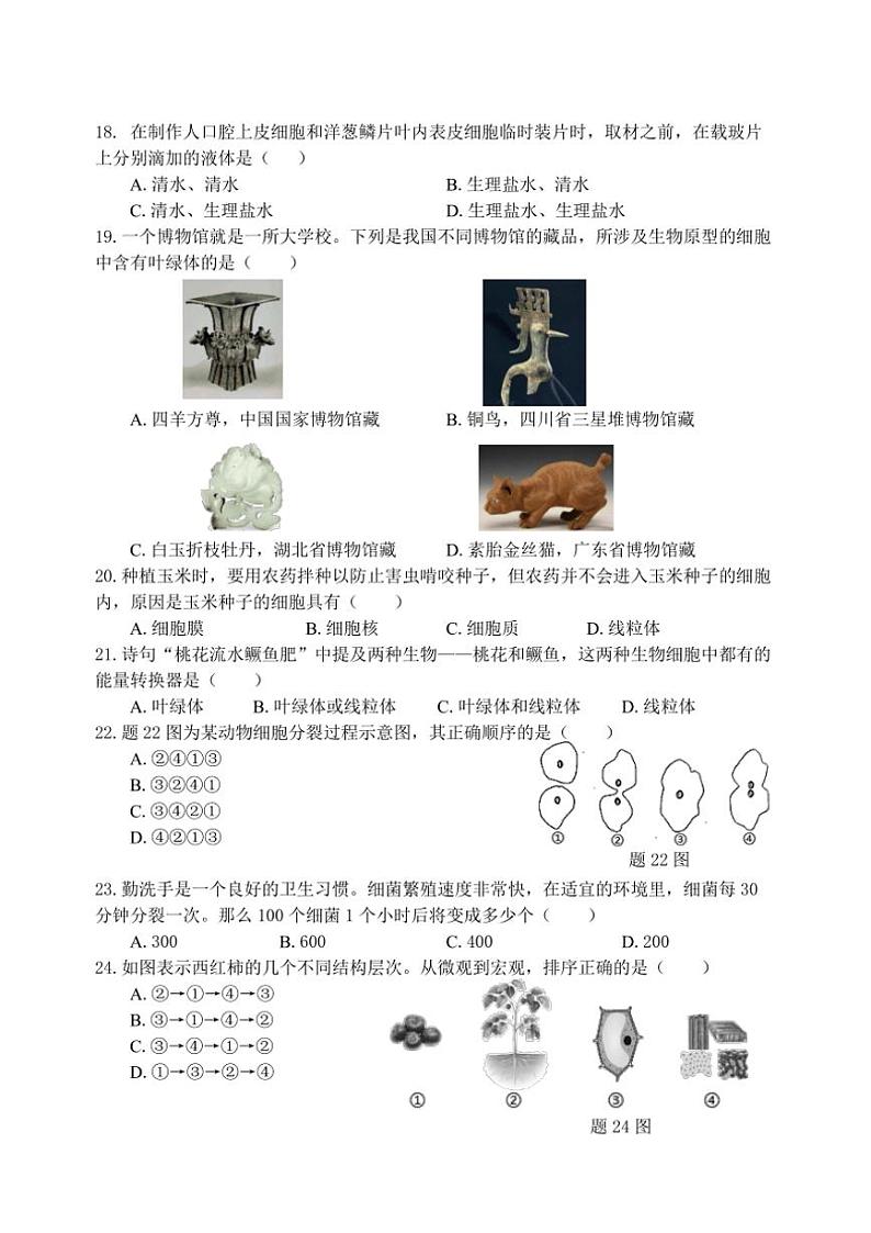 广东省汕头市龙湖实验中学2024～2025学年七年级(上)期中生物试题(含答案)第3页