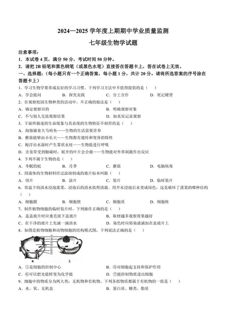 河南省信阳市2024～2025学年七年级(上)期中生物试题(含答案)01
