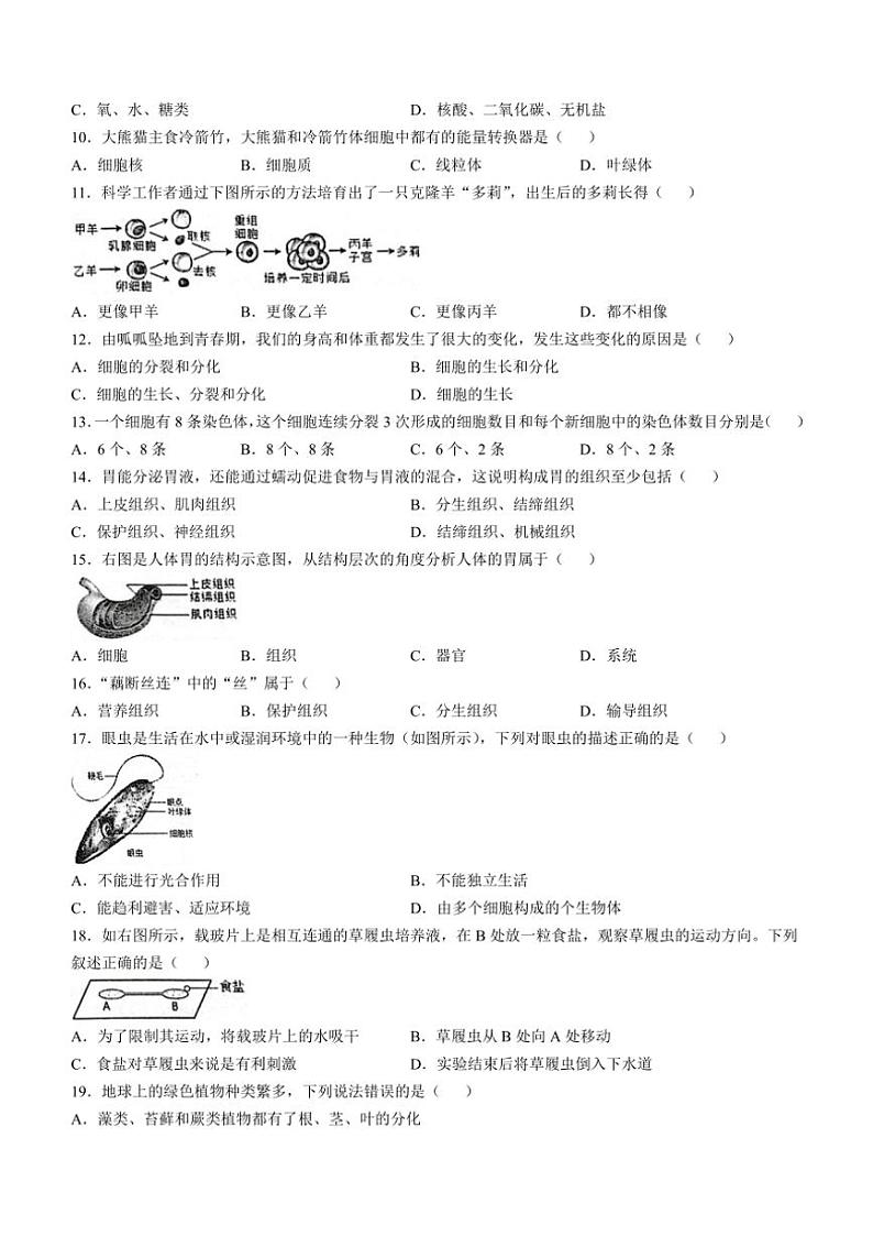 河南省信阳市2024～2025学年七年级(上)期中生物试题(含答案)02