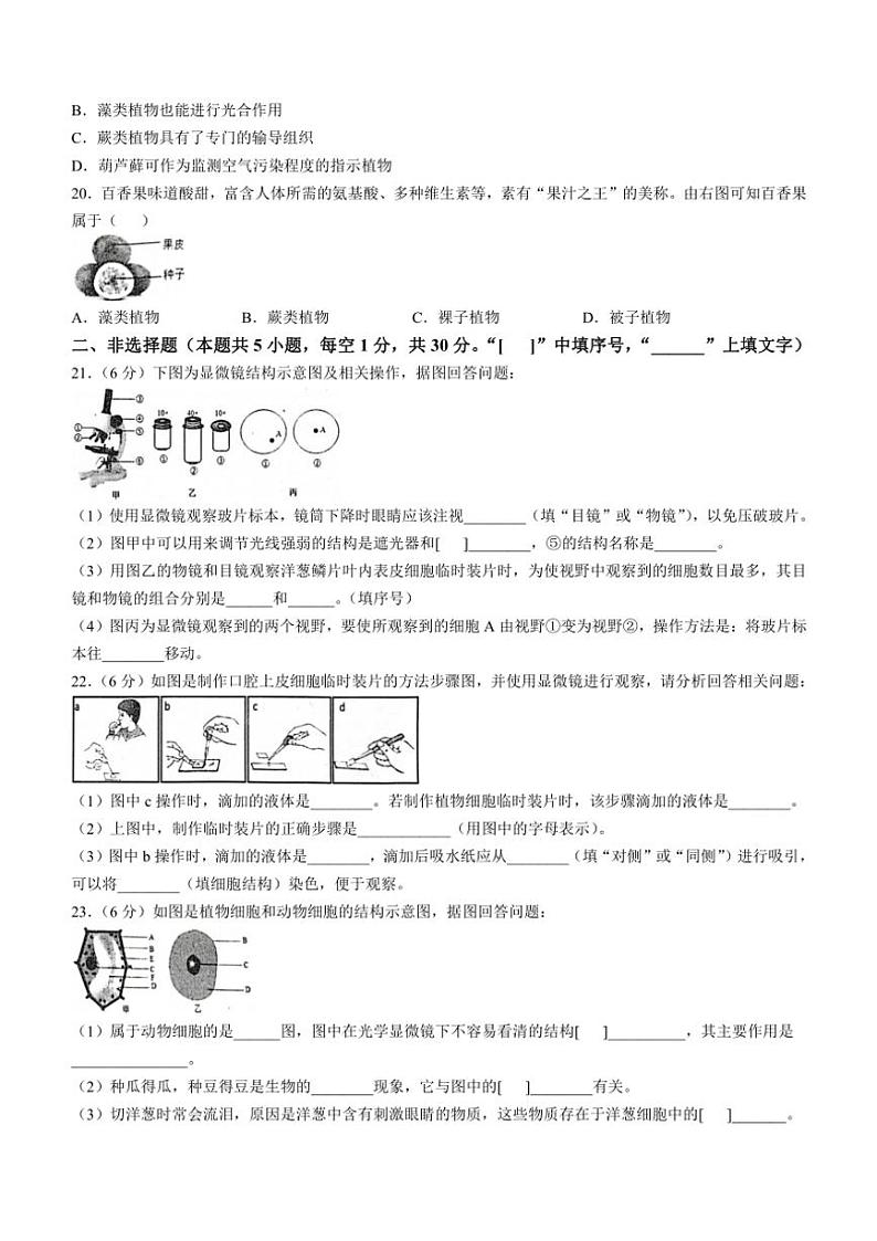 河南省信阳市2024～2025学年七年级(上)期中生物试题(含答案)03