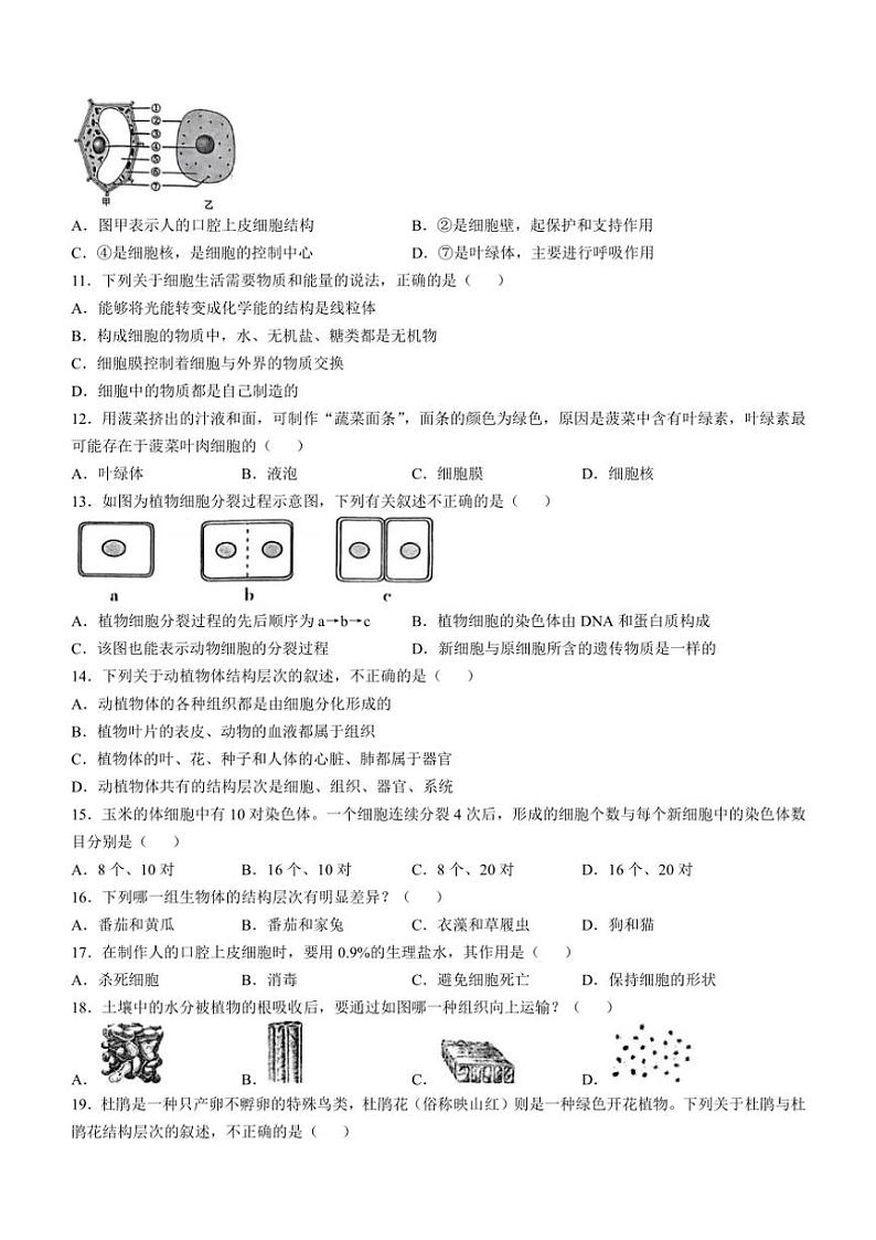江西省萍乡市2024～2025学年七年级(上)期中生物试题(含答案)02