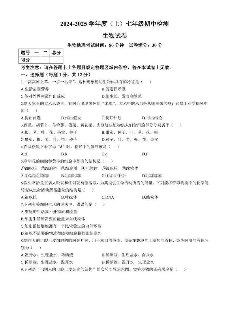 辽宁省本溪市2024～2025学年七年级(上)期中生物试题(含答案)第1页