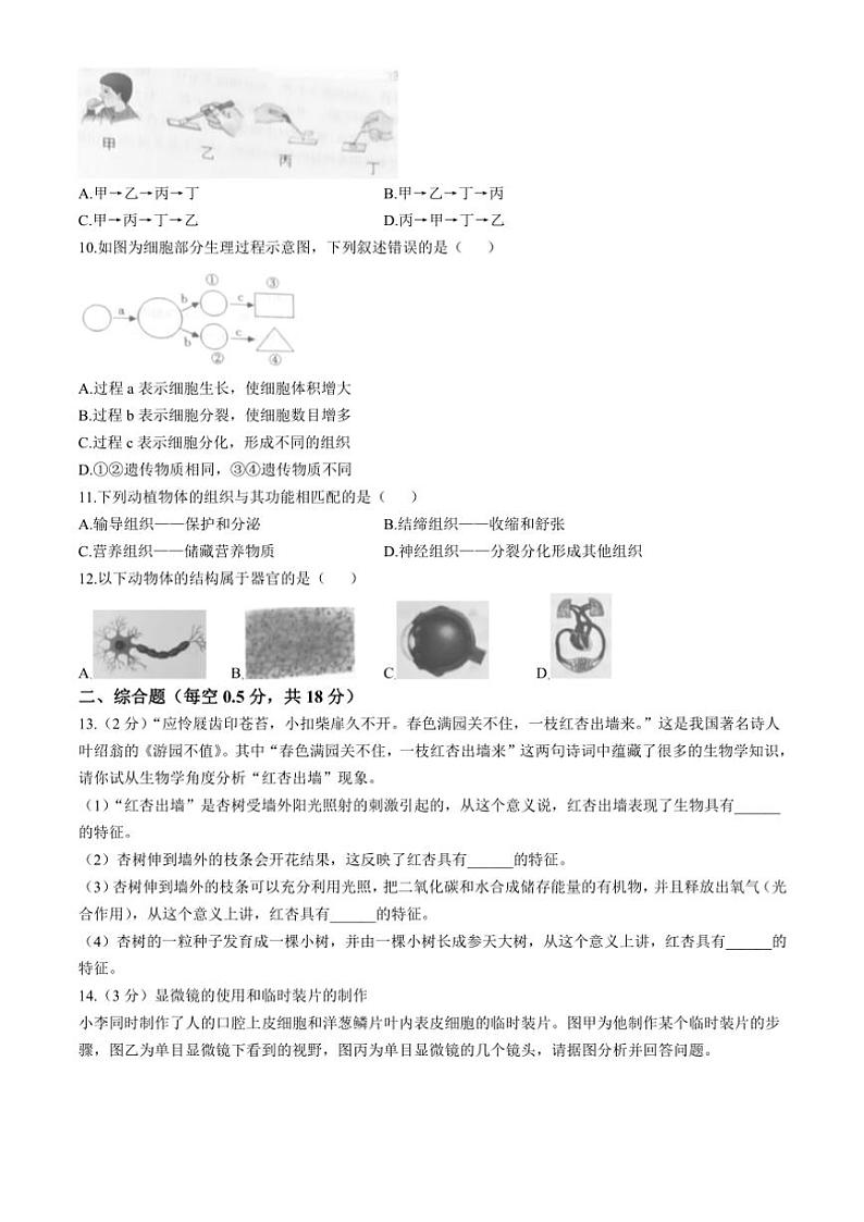 辽宁省本溪市2024～2025学年七年级(上)期中生物试题(含答案)第2页