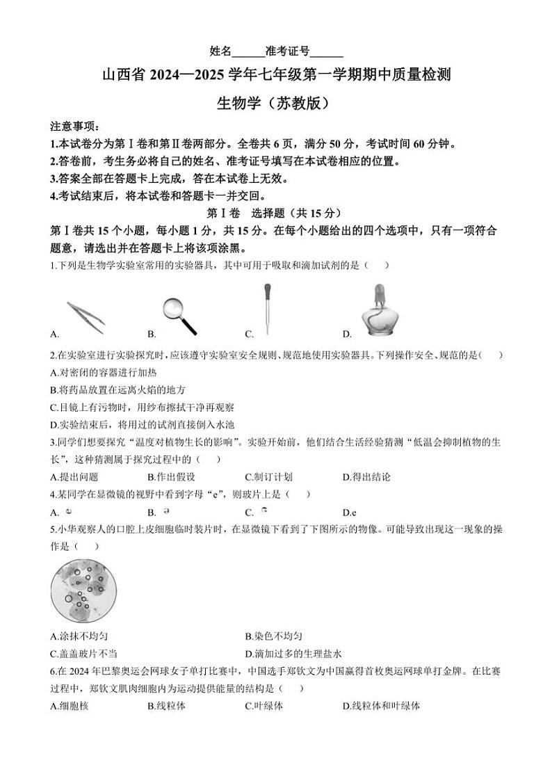 山西省临汾市多校2024～2025学年七年级(上)期中生物试题(含答案)01
