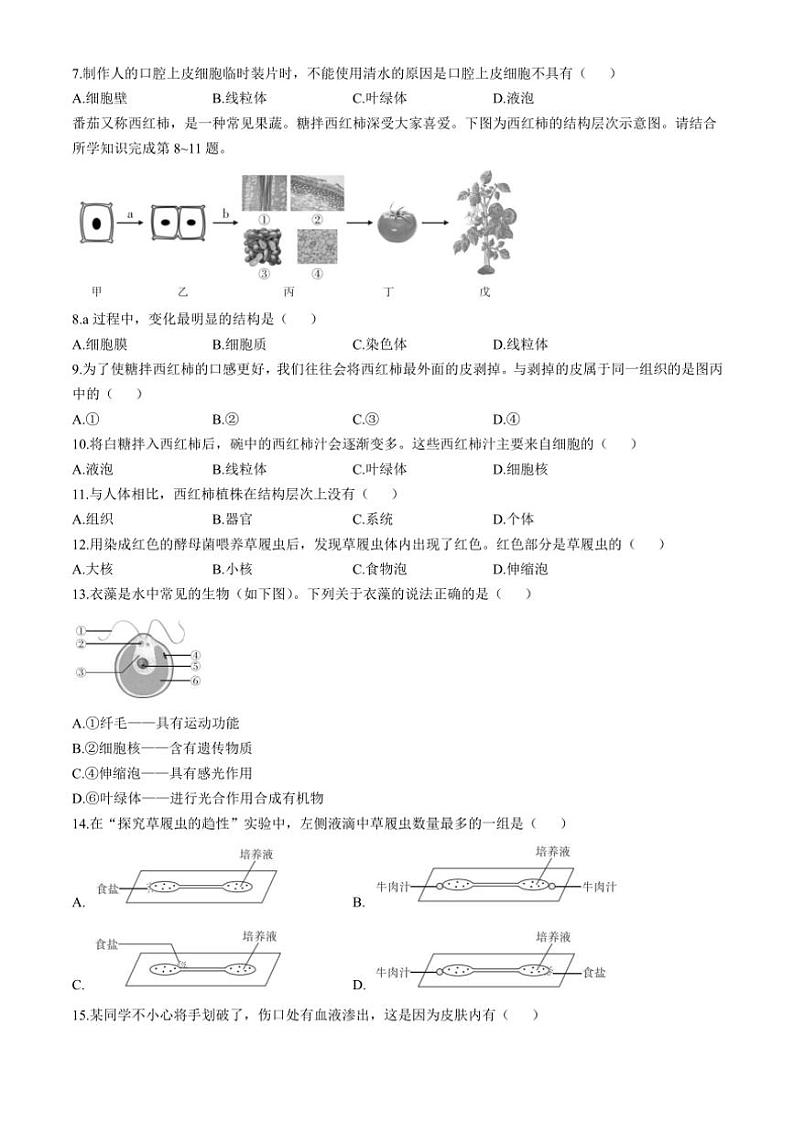 山西省临汾市多校2024～2025学年七年级(上)期中生物试题(含答案)02