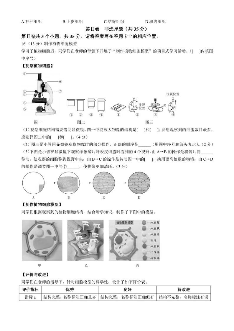 山西省临汾市多校2024～2025学年七年级(上)期中生物试题(含答案)03