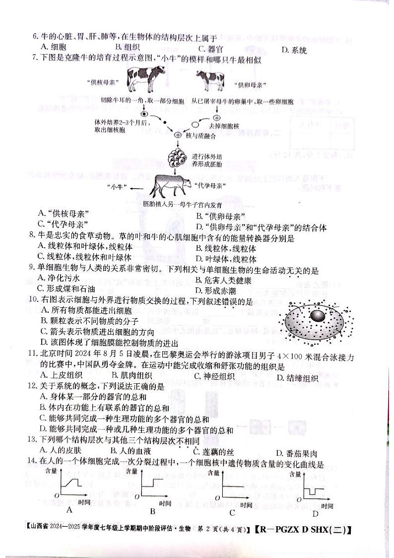 山西省忻州十二所学校2024－2025学年七年级上学期期中考试生物试题02