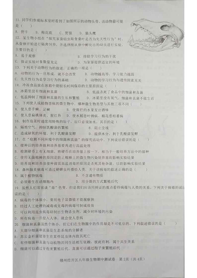 江西省赣州市经开区期中考试2024-2025学年八年级生物上学期期中第2页