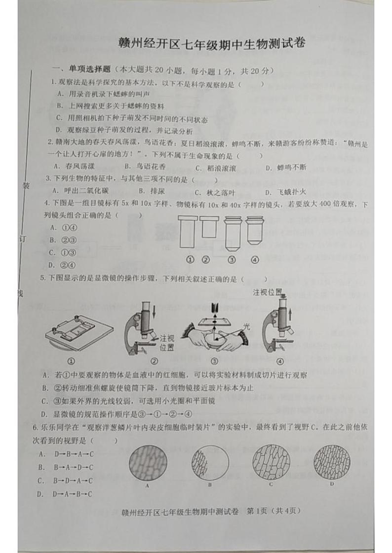 江西省赣州市经开区2024-2025学年七年级上学期11月期中生物试题01