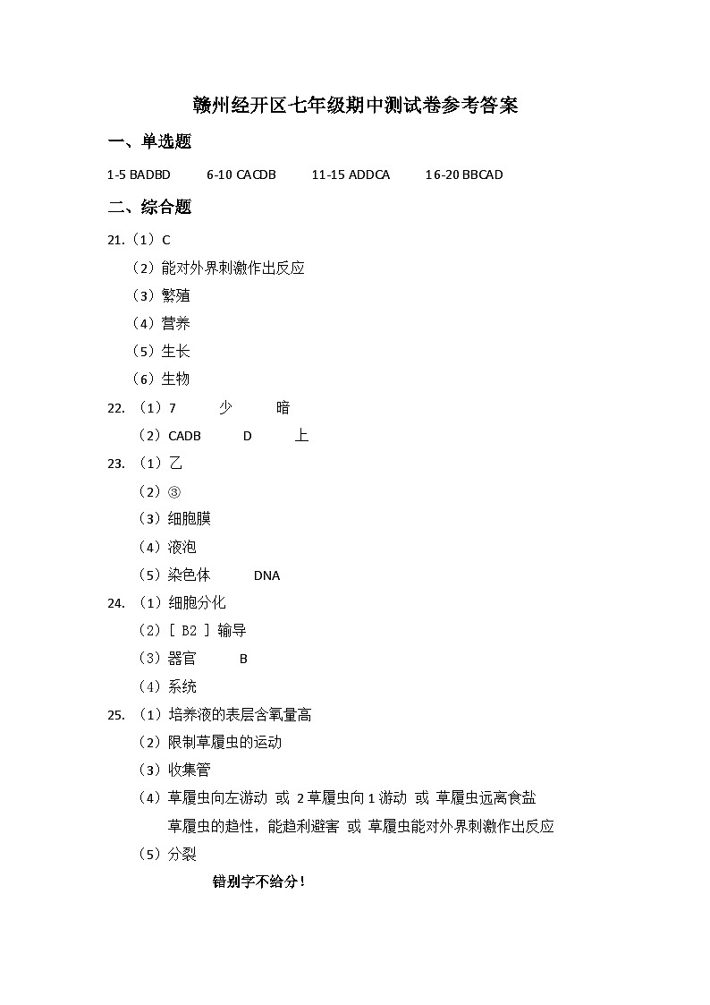 江西省赣州市经开区2024-2025学年七年级上学期11月期中生物试题01