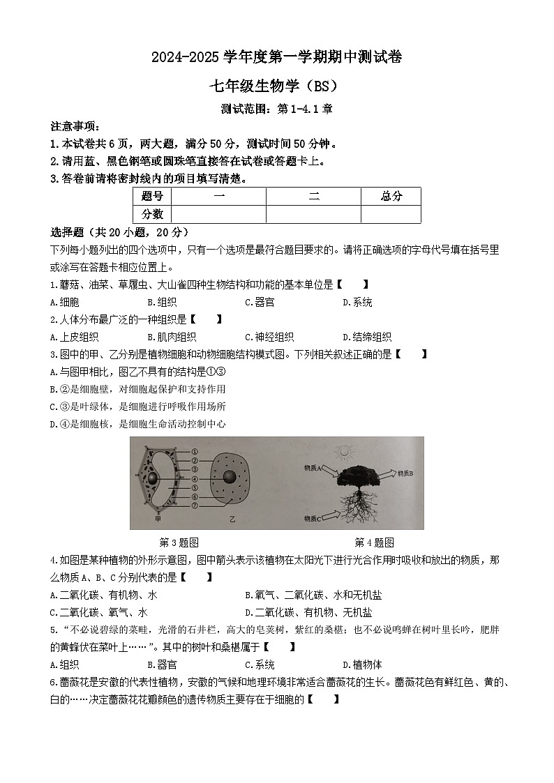 河南省新乡市卫辉市2024-2025学年七年级上学期期中生物学试题第1页