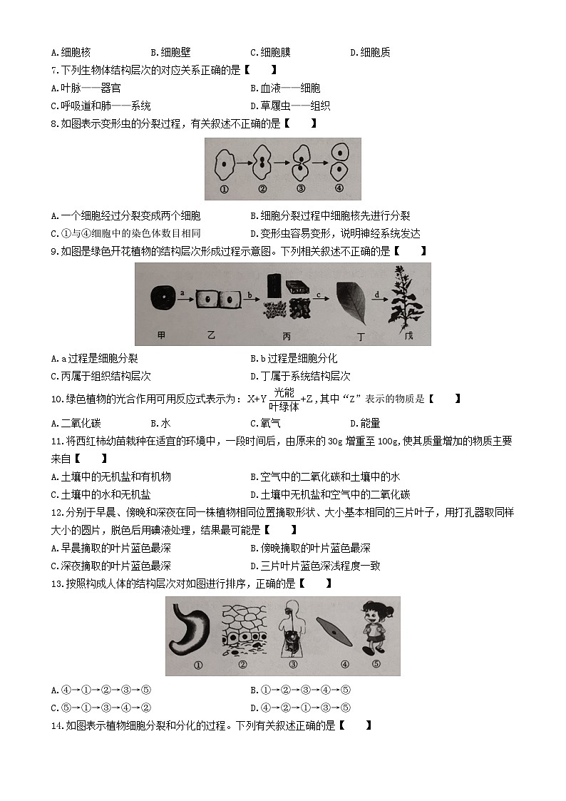 河南省新乡市卫辉市2024-2025学年七年级上学期期中生物学试题第2页