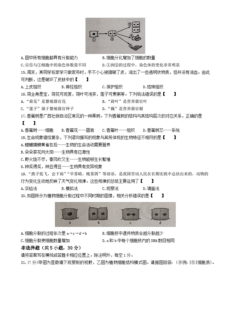 河南省新乡市卫辉市2024-2025学年七年级上学期期中生物学试题第3页