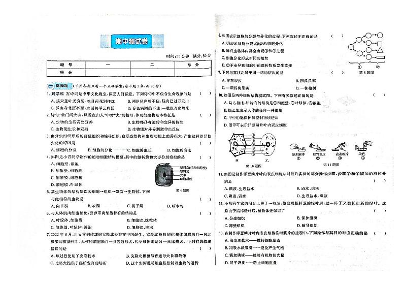 吉林省吉林市永吉县2024~2025学年七年级上学期期中生物测试卷01