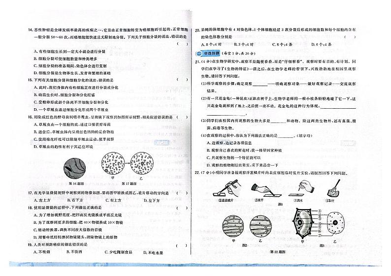 吉林省吉林市永吉县2024~2025学年七年级上学期期中生物测试卷02