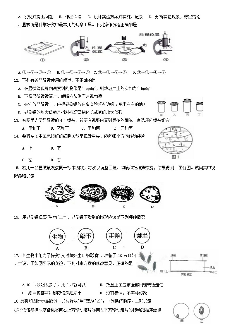 苏科版（2024新版）七年级上册生物期中模拟测试卷1（含答案）02