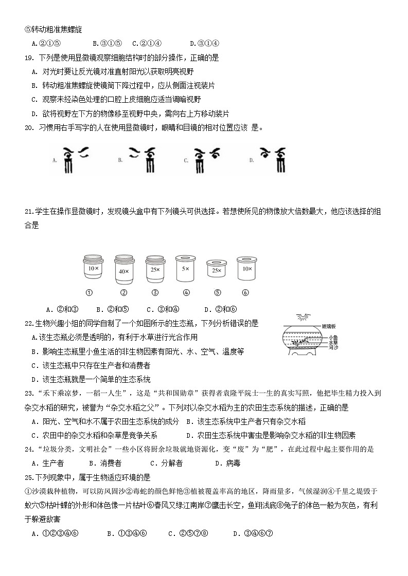 苏科版（2024新版）七年级上册生物期中模拟测试卷1（含答案）03
