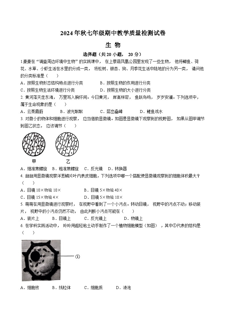 河南省驻马店市上蔡县2024-2025学年七年级上学期期中生物学试题第1页