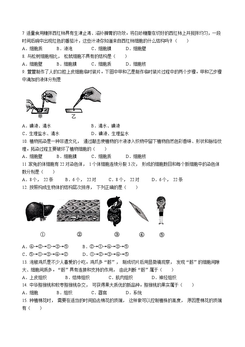 河南省驻马店市上蔡县2024-2025学年七年级上学期期中生物学试题第2页