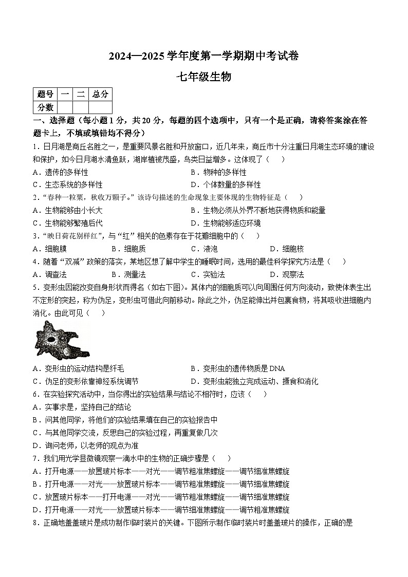 河南省商丘市虞城县2024-2025学年七年级上学期期中生物学试题第1页