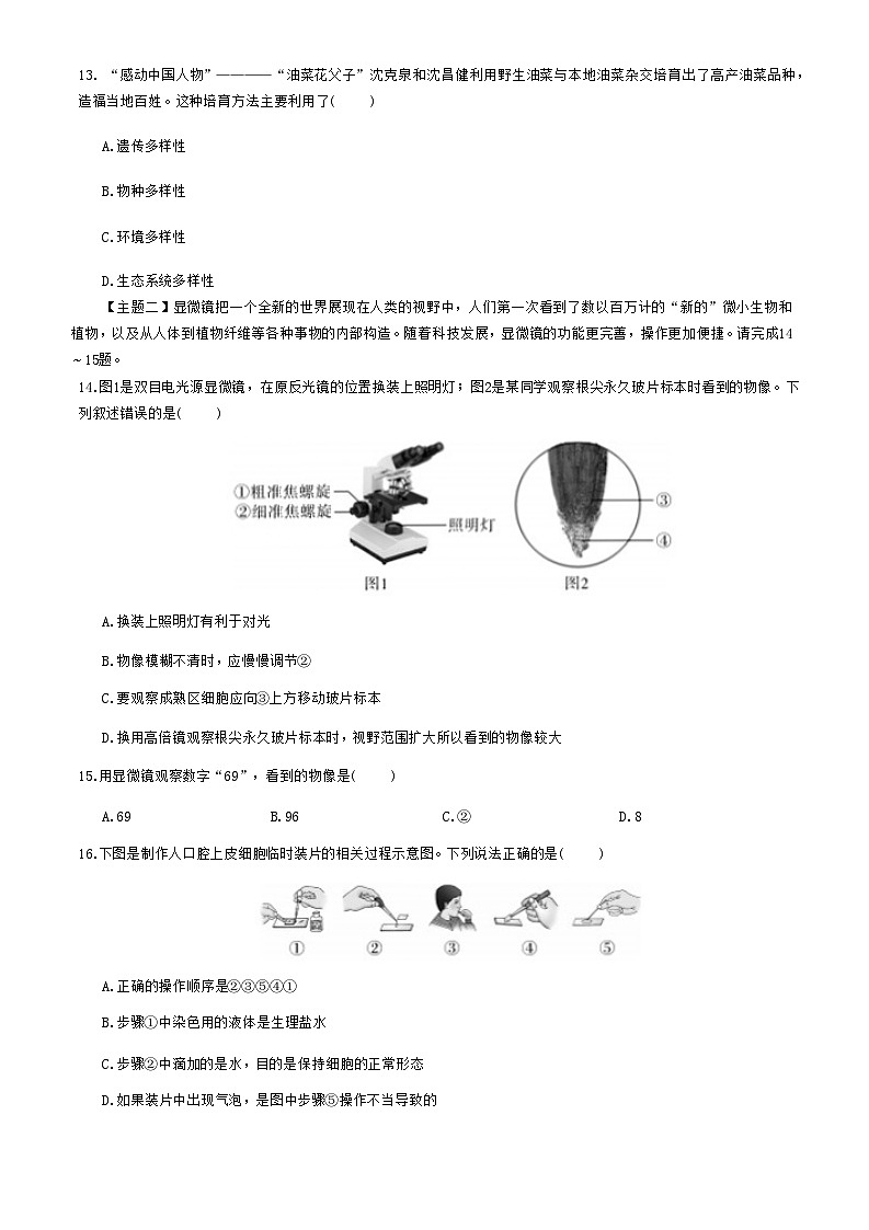 北师大版（2024新版）七年级上册生物期中模拟测试卷（含答案）第3页
