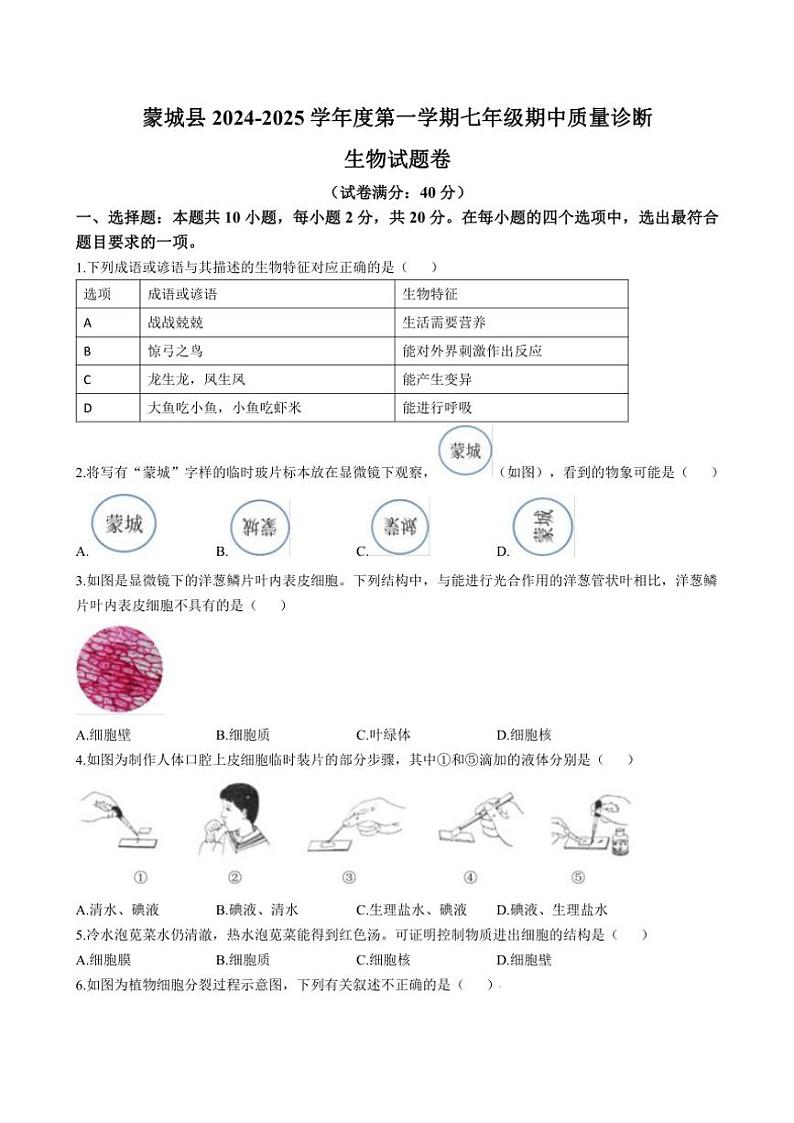 安徽省亳州市蒙城县2024～2025学年七年级(上)期中生物试卷(含答案)第1页