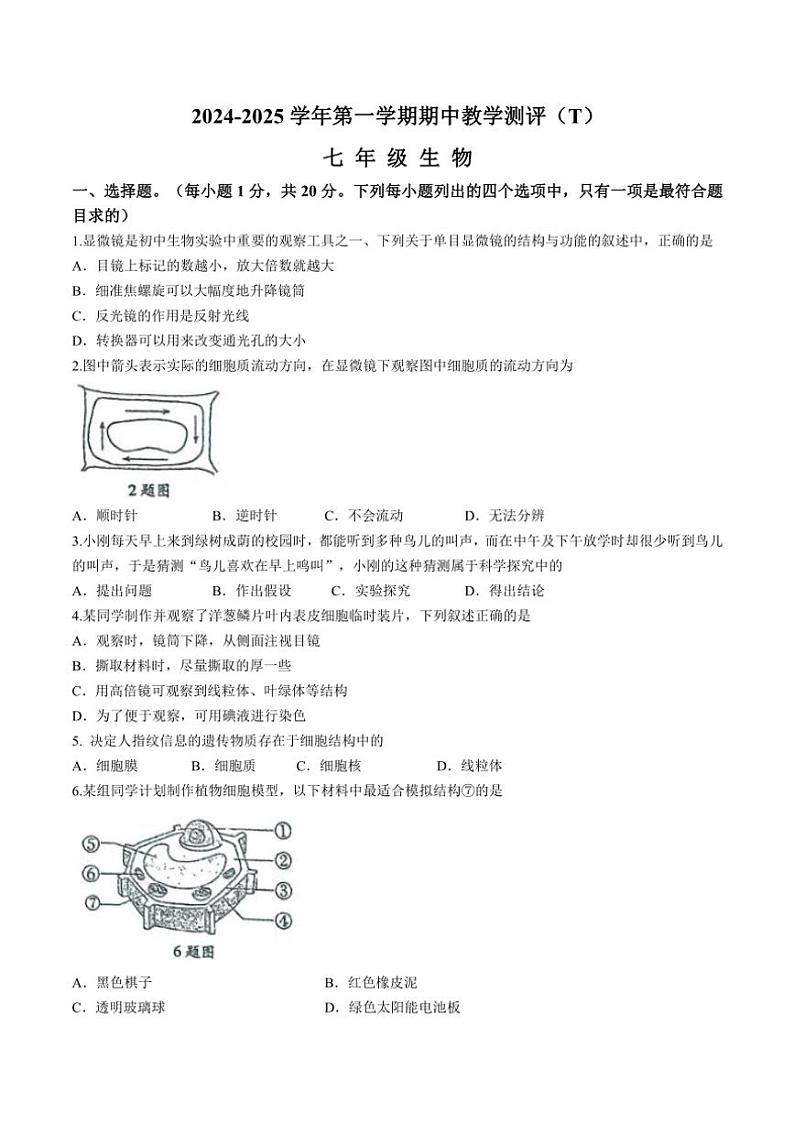 河南省周口市太康县2024～2025学年七年级(上)期中生物试卷(含答案)第1页
