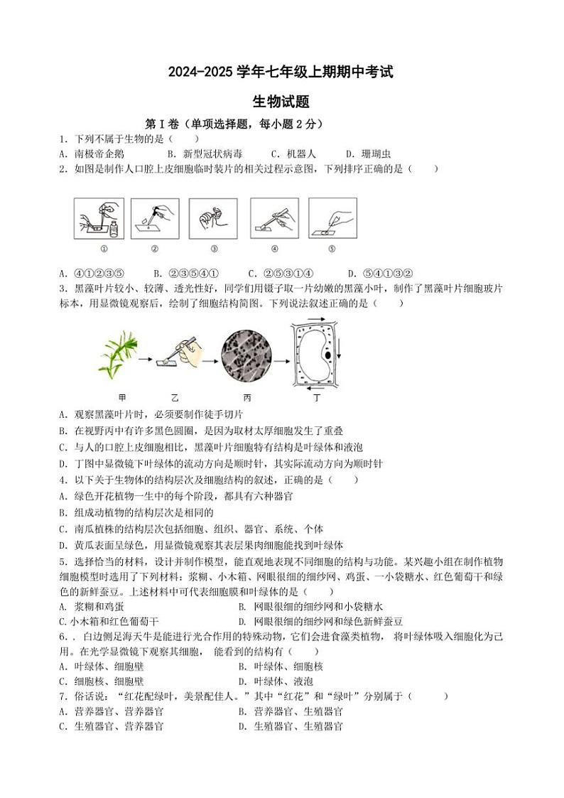 湖南省益阳市沅江市期中联考2024～2025学年七年级(上)期中生物试卷(含答案)第1页