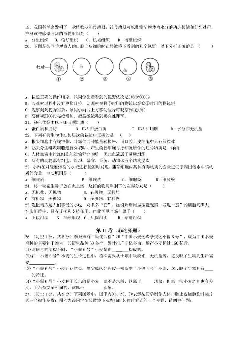 湖南省益阳市沅江市期中联考2024～2025学年七年级(上)期中生物试卷(含答案)第3页