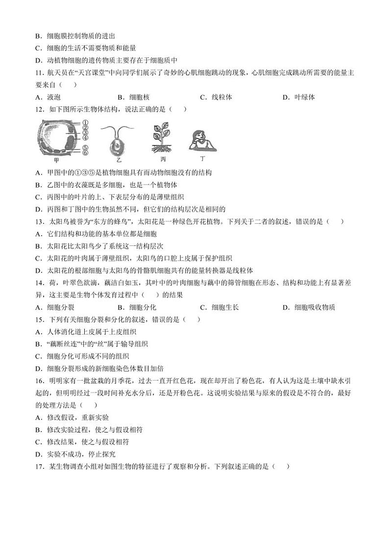 山东省济宁市经开区2024～2025学年七年级(上)期中生物试卷(含答案)第3页